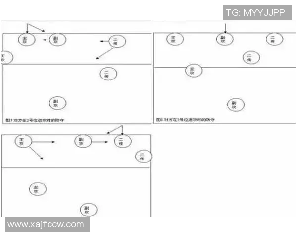 武汉排球队反击之路的成功与挑战分析